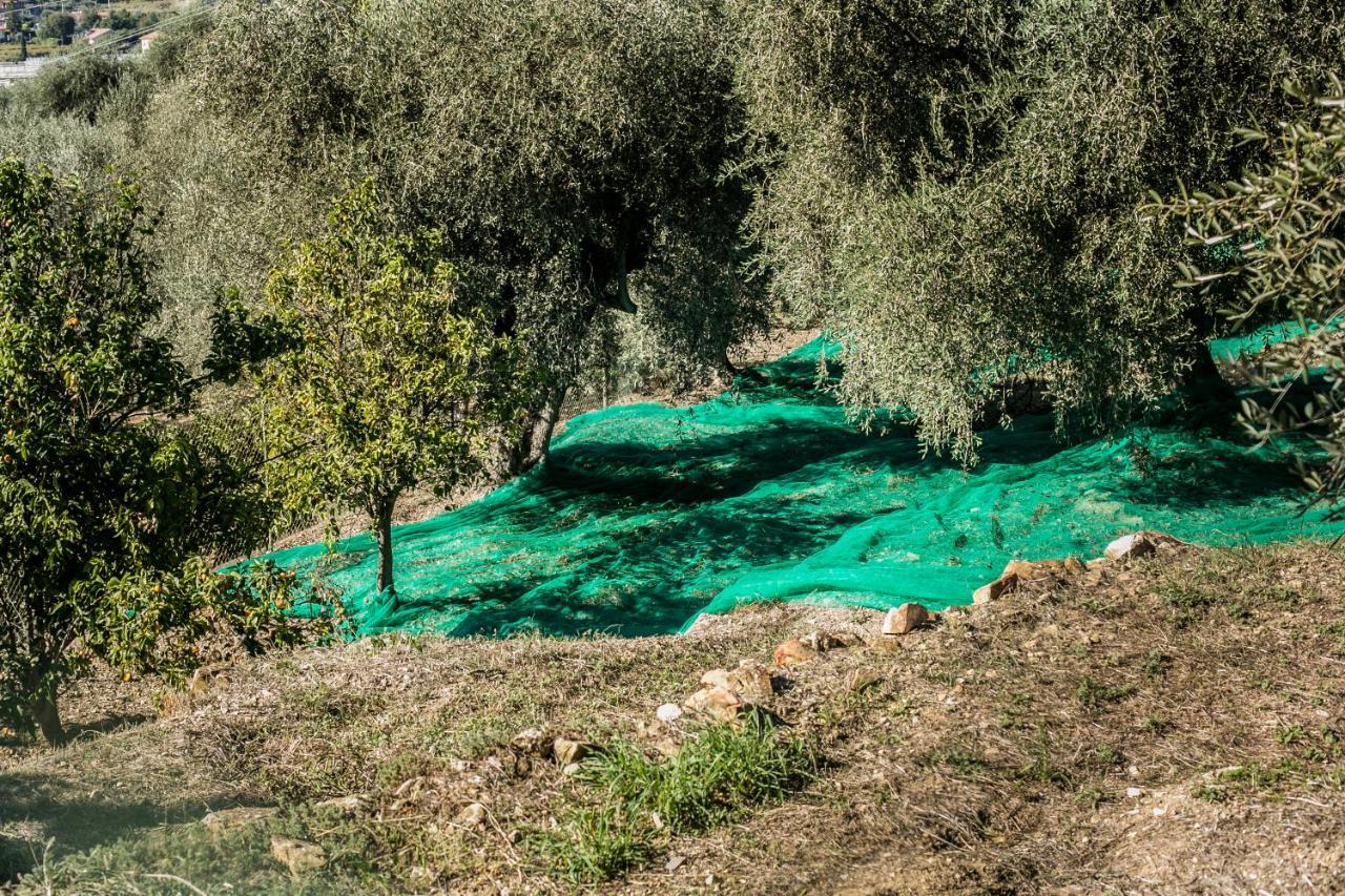 Le Raganelle Ξενοδοχείο Oneglia Εξωτερικό φωτογραφία